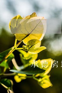承德房地产律师费用 承德房地产律师费用