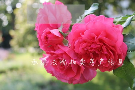 承德法院拍卖房产信息