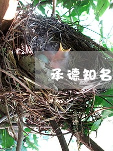 承德知名工程款律师团队 承德知名工程款律师团队