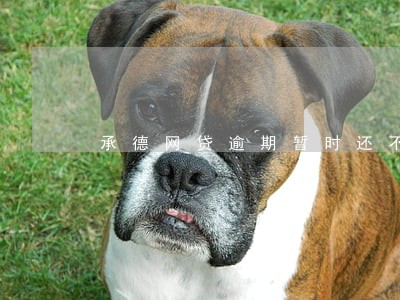 承德网贷逾期暂时还不上怎么办