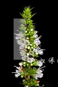 承担保释费交通费 承担保释费交通费