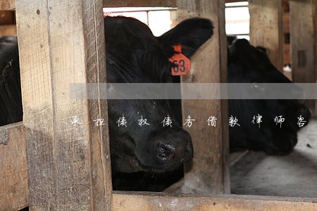 承担债权债务借款律师咨询 承担债权债务借款律师咨询