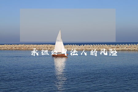 承担公司法人的风险 承担公司法人的风险