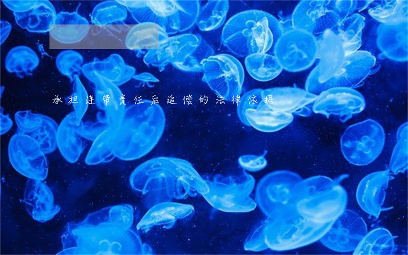 承担连带责任后追偿的法律依据 承担连带责任后追偿的法律依据