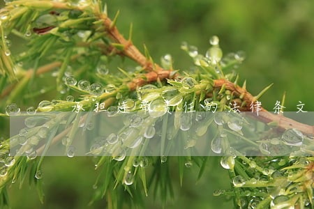 承担连带责任的法律条文 承担连带责任的法律条文