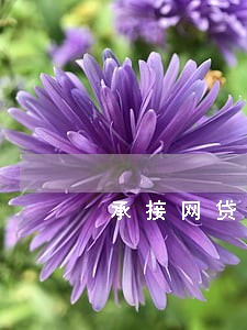 承接网贷逾期催收网站 承接网贷逾期催收网站