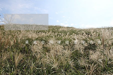 承揽合同律师法律咨询 承揽合同律师法律咨询
