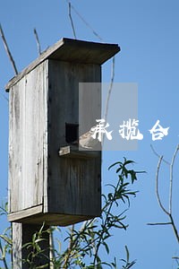 承揽合同纠纷法律咨询 承揽合同纠纷法律咨询