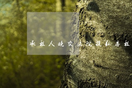 承租人晚交法院提取房租 承租人晚交法院提取房租