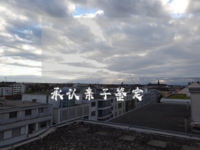承认亲子鉴定 承认亲子鉴定