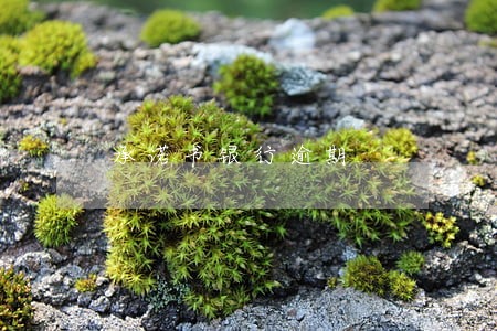 承诺书银行逾期 承诺书银行逾期