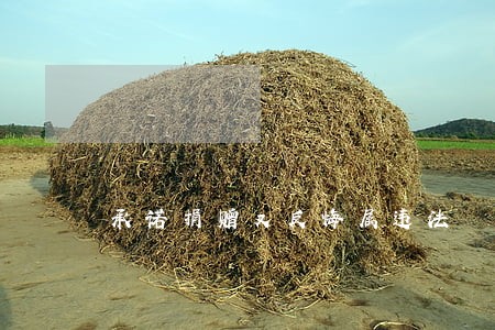 承诺捐赠又反悔属违法 承诺捐赠又反悔属违法