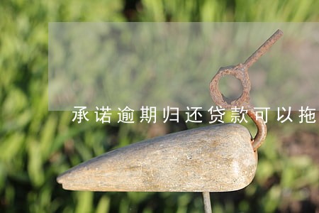 承诺逾期归还贷款可以拖车 承诺逾期归还贷款可以拖车