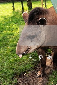 承贷函后信用卡逾期 承贷函后信用卡逾期