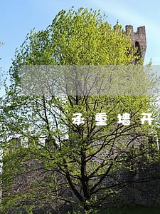 承重墙开门加固违法吗