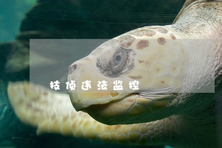 技侦违法监控 技侦违法监控