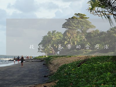 技术人员劳动合同法 技术人员劳动合同法