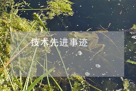 技术先进事迹