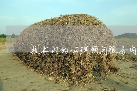技术好的公律顾问服务内容 技术好的公律顾问服务内容