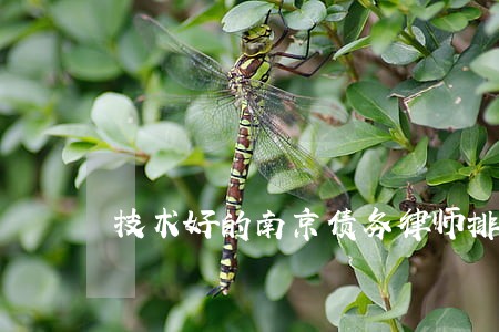 技术好的南京债务律师排名 技术好的南京债务律师排名