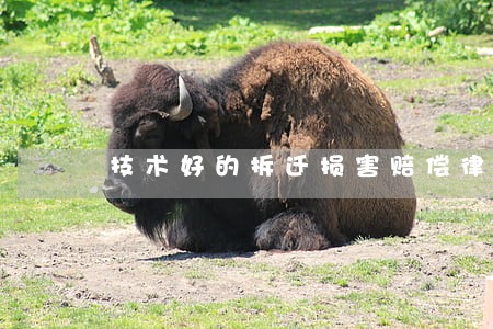 技术好的拆迁损害赔偿律师费用 技术好的拆迁损害赔偿律师费用