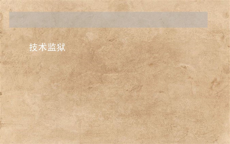 技术监狱