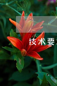 技术要求法规要求 技术要求法规要求