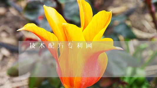 技术配方专利网 技术配方专利网