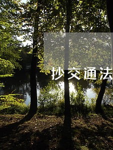 抄交通法规还是协助查违法随你挑 抄交通法规还是协助查违法随你挑