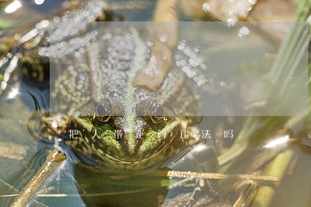 把人带走算违法吗 把人带走算违法吗