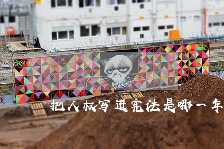 把人权写进宪法是哪一年 把人权写进宪法是哪一年