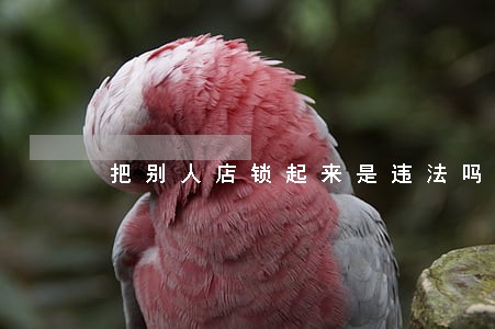 把别人店锁起来是违法吗 把别人店锁起来是违法吗
