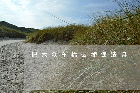 把大众车标去掉违法嘛 把大众车标去掉违法嘛