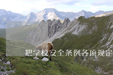 把学校安全条例各项规定落到实处 把学校安全条例各项规定落到实处