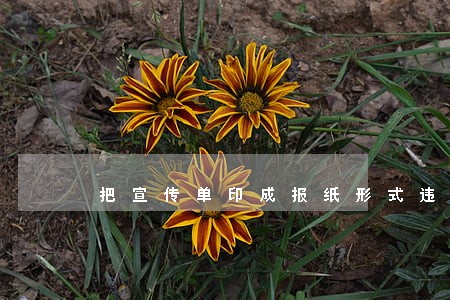 把宣传单印成报纸形式违法吗 把宣传单印成报纸形式违法吗