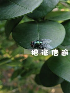 把征信逾期的还了可以办信用卡么