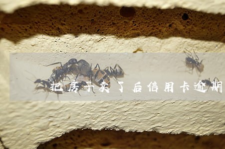 把房子卖了后信用卡逾期 把房子卖了后信用卡逾期
