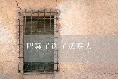 把案子送了法院去 把案子送了法院去