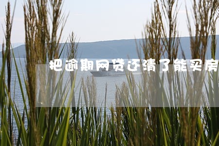 把逾期网贷还清了能买房吗 把逾期网贷还清了能买房吗