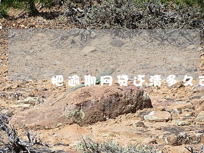 把逾期网贷还清多久可以办卡 把逾期网贷还清多久可以办卡