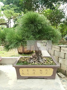 把钱打进法院冻结账户了怎么办 把钱打进法院冻结账户了怎么办