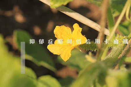 抑郁症期间借信用卡逾期怎么