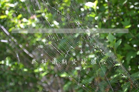 抓好逾期贷款催收 抓好逾期贷款催收