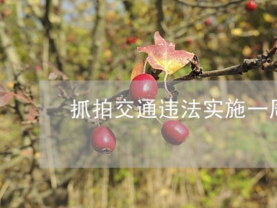 抓拍交通违法实施一周 抓拍交通违法实施一周