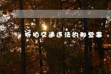 抓拍交通违法的那些事 抓拍交通违法的那些事