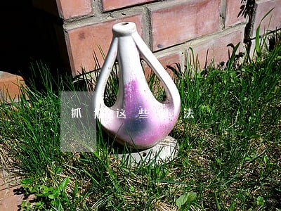抓拍这些违法 抓拍这些违法