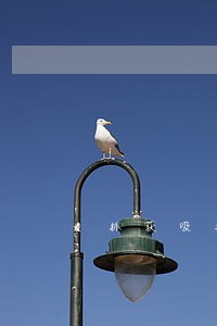 抓获吸毒违法人员50名