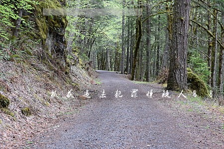 抓获违法犯罪嫌疑人88人 抓获违法犯罪嫌疑人88人