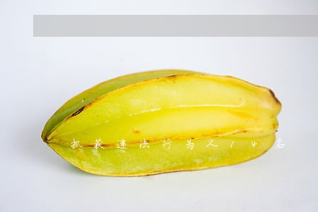 抓获违法行为人14名 抓获违法行为人14名
