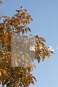 投一元硬币夹香烟机违法吗 投一元硬币夹香烟机违法吗
